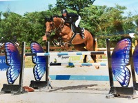 Centre Equestre Giboulet Boulon